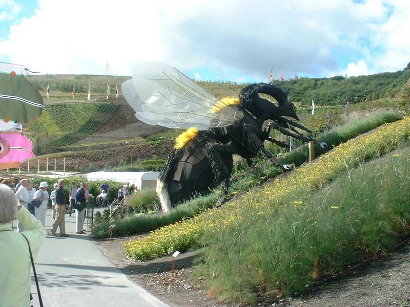 Eden16.JPG