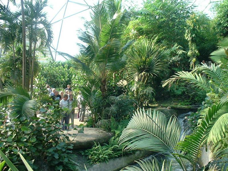 Eden6.JPG