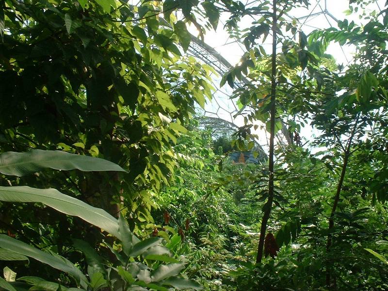 Eden8.JPG