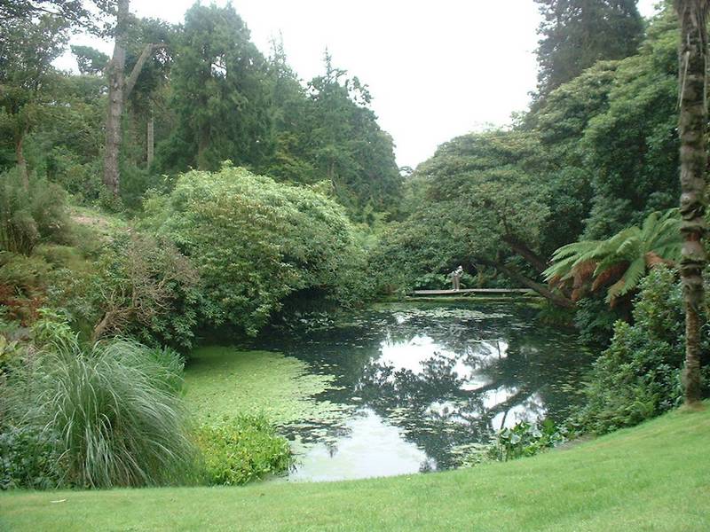 Heligan3.JPG