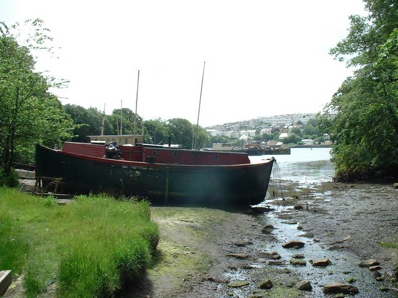 Up the creak.JPG