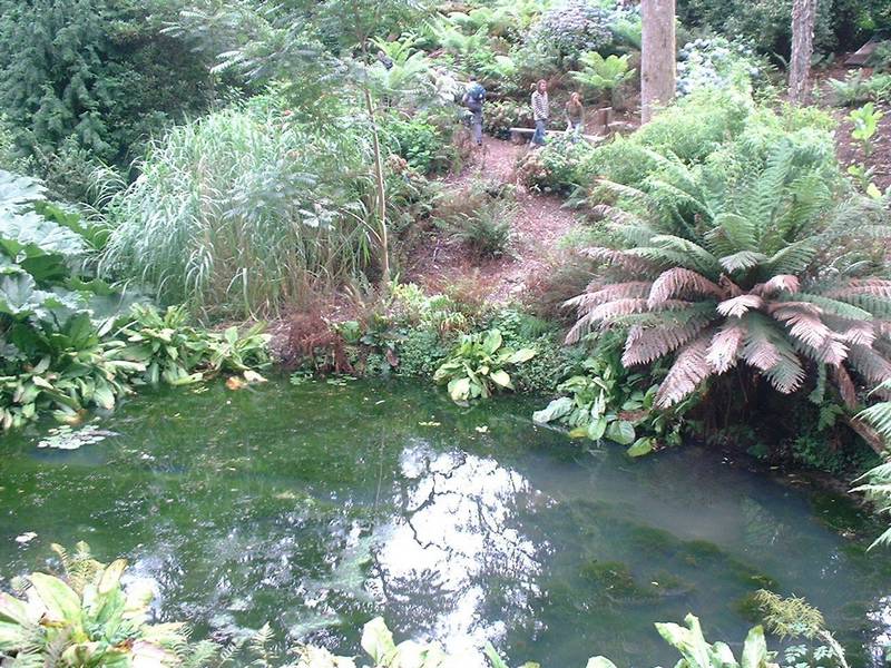 heligan7.JPG