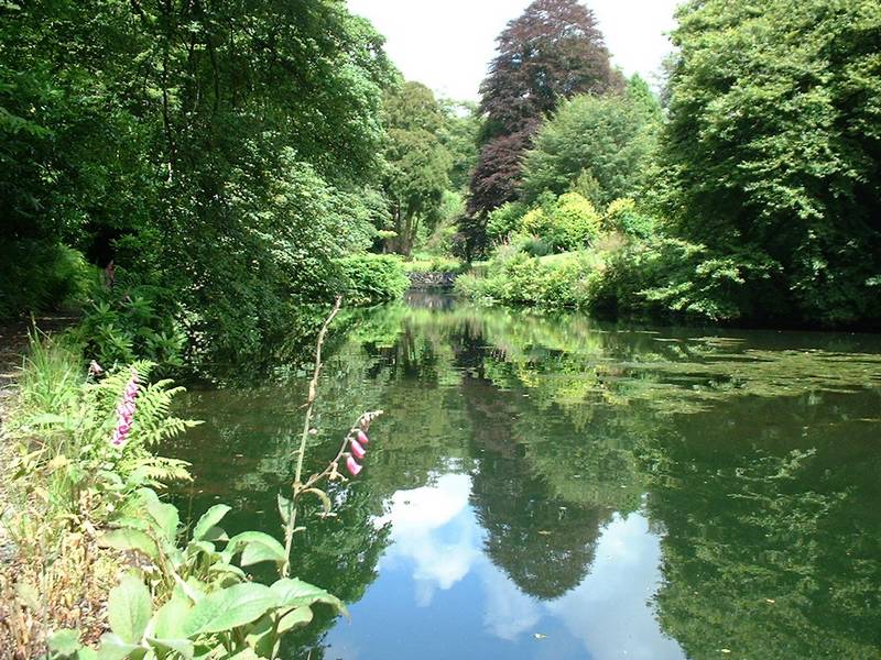 trevarno lake2.JPG