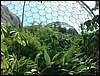Eden11.JPG