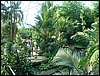 Eden6.JPG