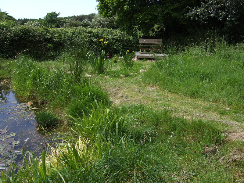 2007_0520pond0036.JPG