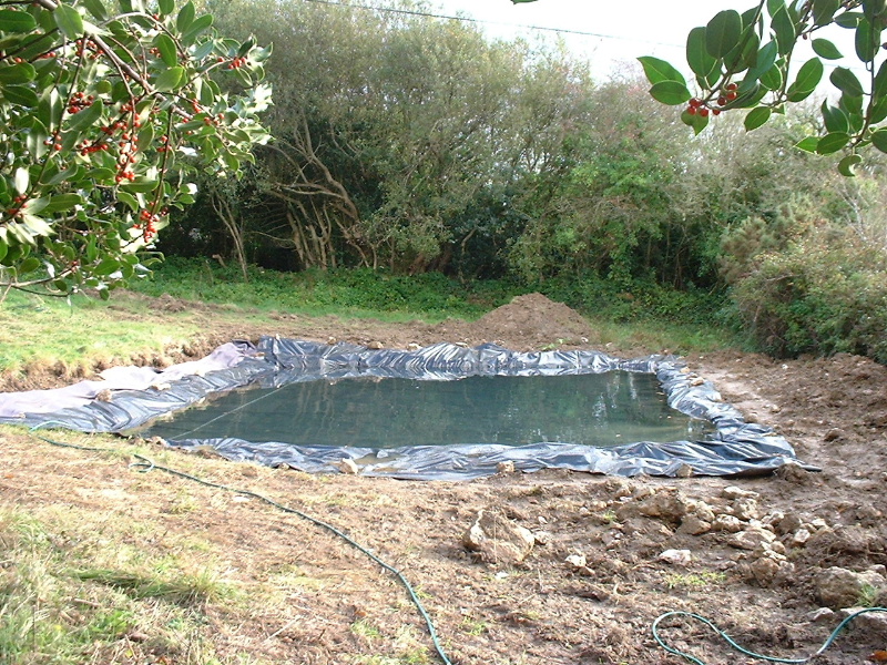 DSCF0021.JPG