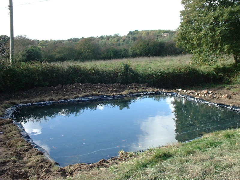 DSCF0025.JPG