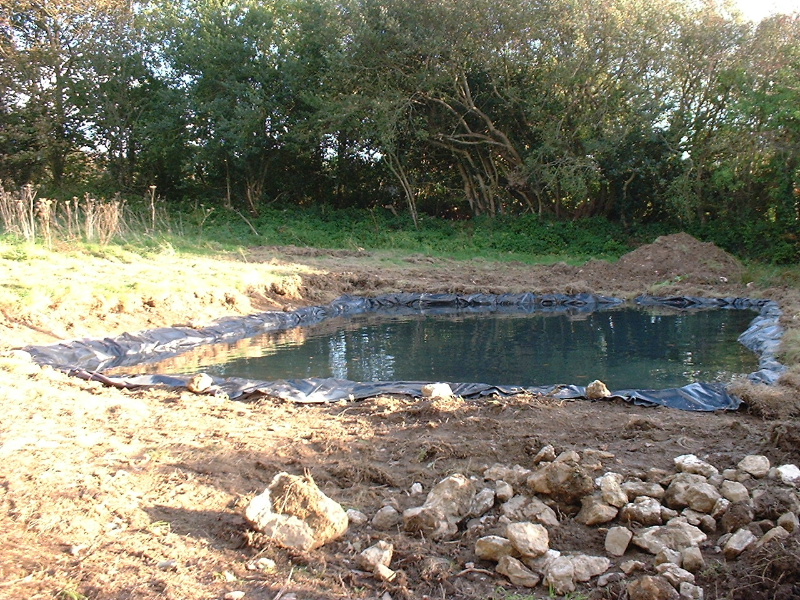 DSCF0026.JPG