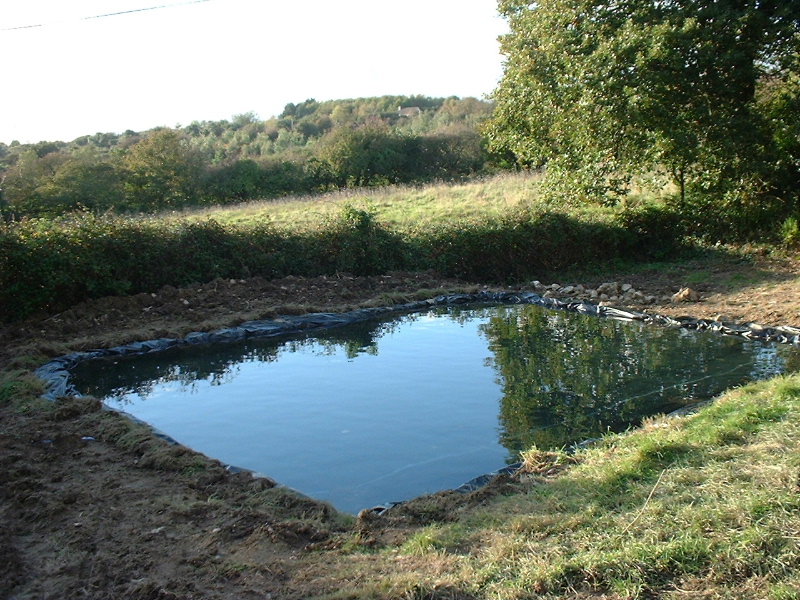 DSCF0027.JPG