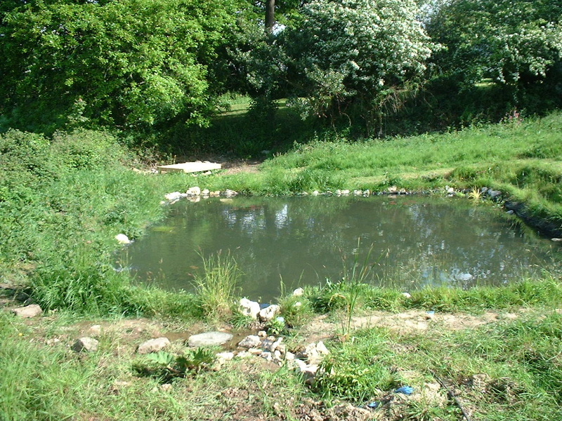 DSCF0039.JPG