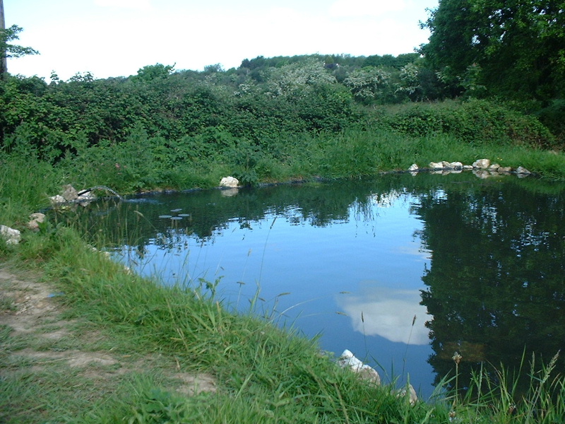 DSCF0040.JPG