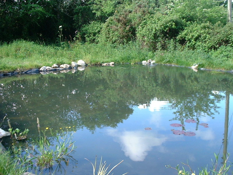 DSCF0041.JPG