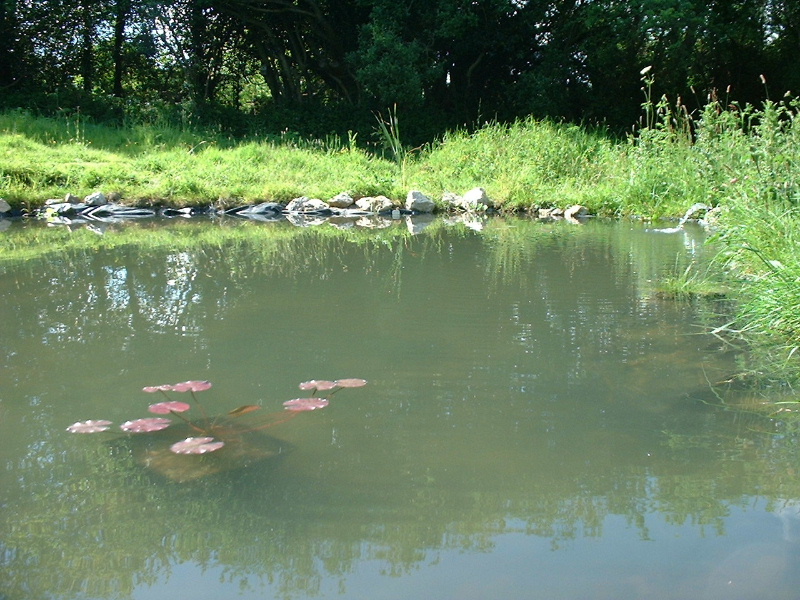 DSCF0043.JPG
