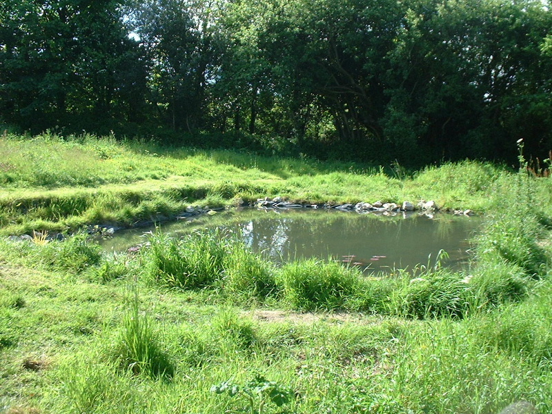 DSCF0044.JPG