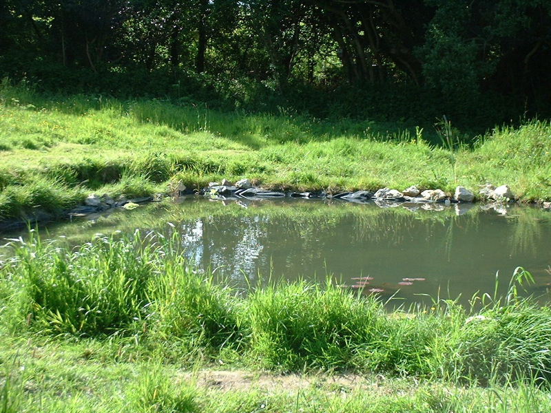 DSCF0045.JPG