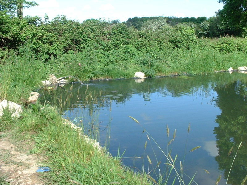 DSCF0046.JPG