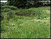 2007_0520pond0034.JPG