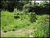 2007_0520pond0035.JPG
