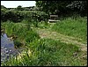 2007_0520pond0036.JPG