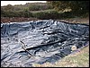 DSCF0015.JPG