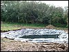 DSCF0020.JPG
