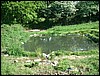 DSCF0039.JPG