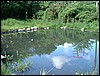 DSCF0041.JPG