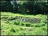 DSCF0044.JPG