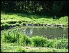 DSCF0045.JPG