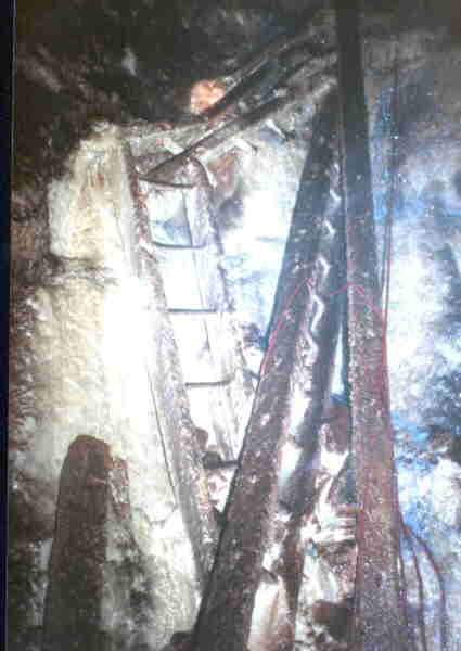 old mens-ladders.jpg