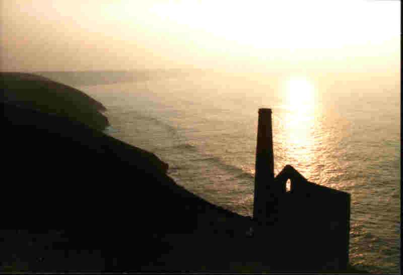 wheal coats at sunset.jpg