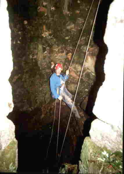 williams-shaft-pevstrutial-mine.jpg