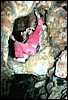 bellvean-mine.jpg