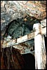 mt-wellington-ore-chute5level.jpg