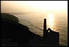 wheal coats at sunset.jpg